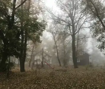 Рыба Зверь - 6