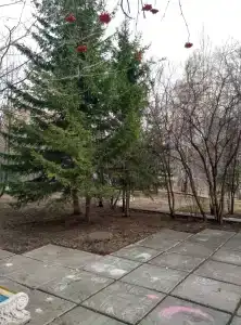 Три Медведя - 33