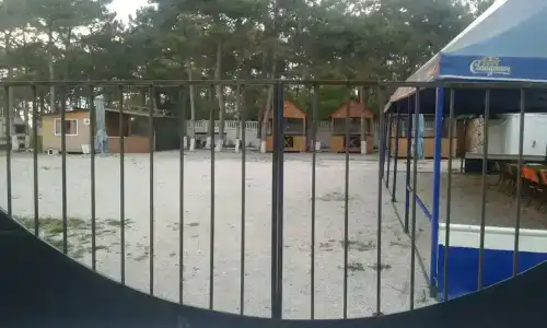 Сосновый бор - 14