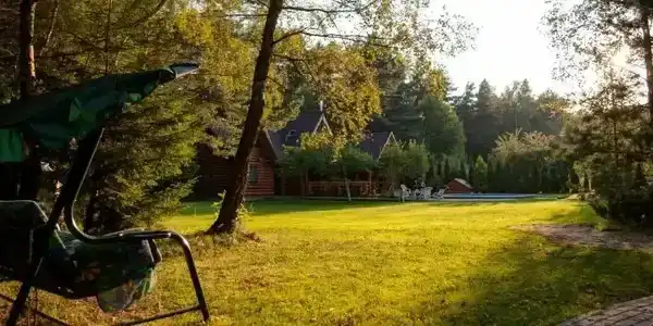 Лесная поляна - 7