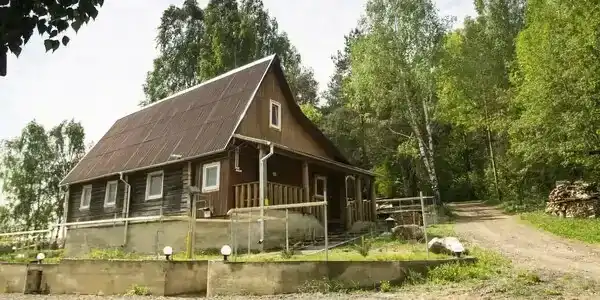 Лесная поляна - 12