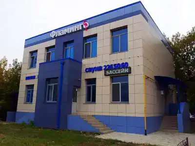 Фламинго - 19