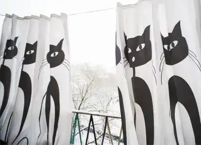 Котики - 7