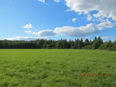 Владимирский Хуторок - 80