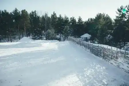 Старый Хутор - 40