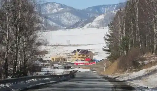 Луга Алтая - 1