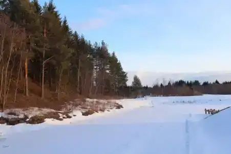 Медвежий угол - 19