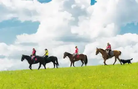 Храброво - 10