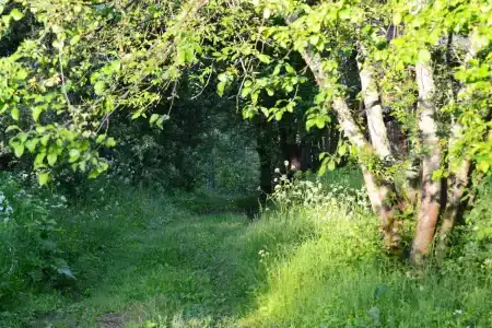 Махерово - 8