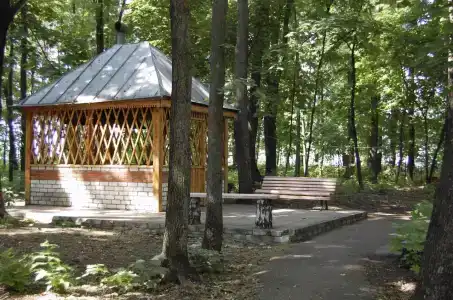 Берёзка - 2