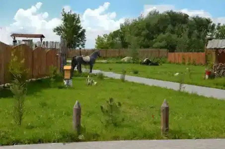 Варваровка - 8