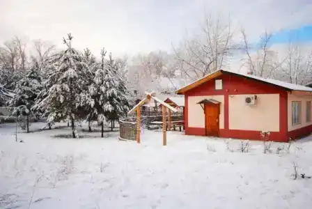 Мечта - 16
