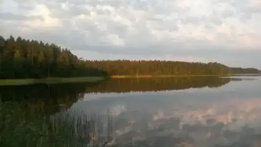 Селигерское заплавье - 29