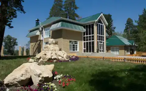 Сосны - 0