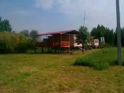 Жемчуг - 4