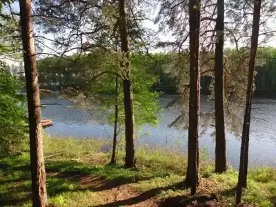 Лесная дача - 15