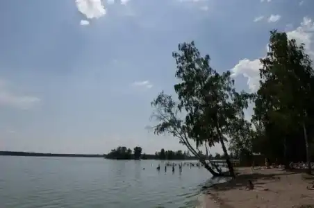 Нептун - 12