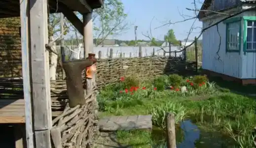 База отдыха у Никитича - 11