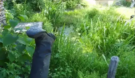 База отдыха у Никитича - 15