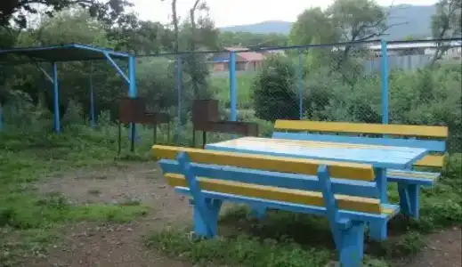 Дельфин - 3