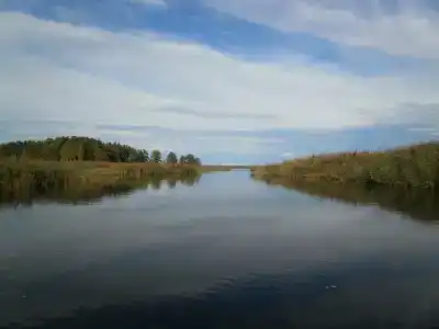 Холодный ручей - 24