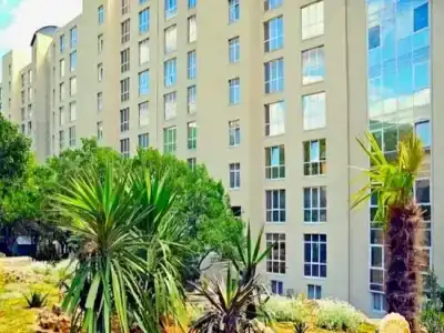 Бухта Мечты - 5