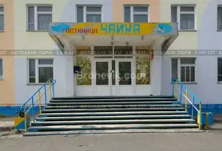 Чайка - 0