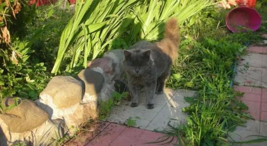 У Ивановской - 2