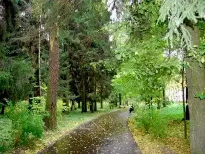 Подлипки - 2