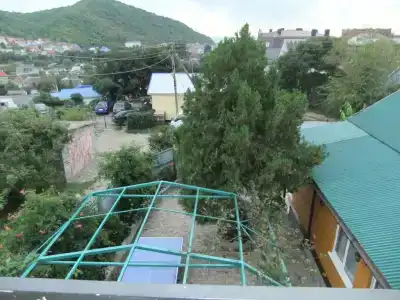 фламинго - 36