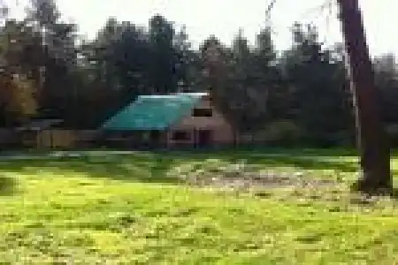 Кедровый - 4