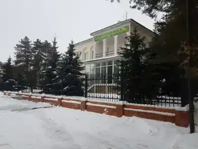 Лесная поляна - 0