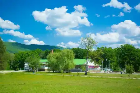 Родничок - 12