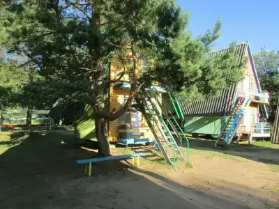 Борок - 2