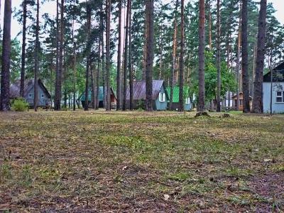 Медведь - 14