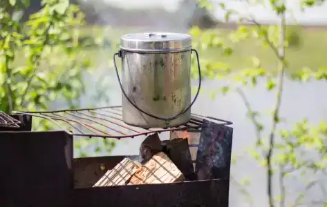 Золотая рыбка - 61