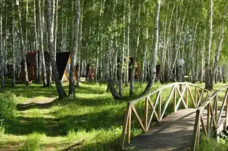 Лукоморье - 5