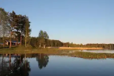 Белые Росы - 12