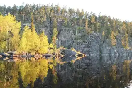 Белые Росы - 16