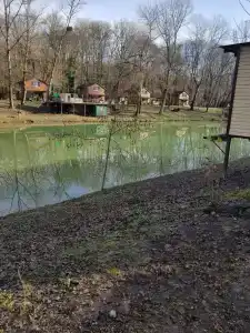 Комарово клуб - 94