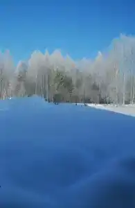 Корпус № 2 - 4