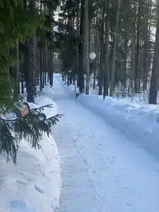Белое солнце - 78