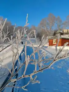 Пансионат Светлячок - 35