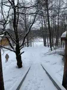 Улыбышево - 40