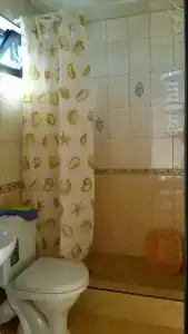 у Карины - 23