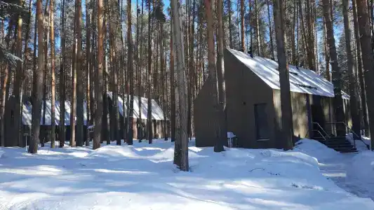Гостевой дом в Демидково - 0