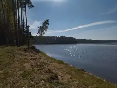 Санаторий-Профилакторий Лесная Поляна - 6