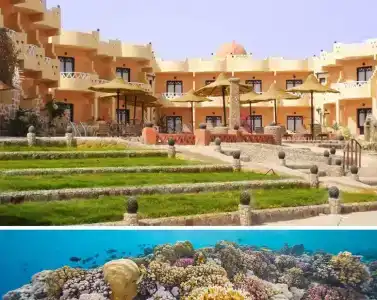 Al Nakheel by Mourouj Gloria - 7