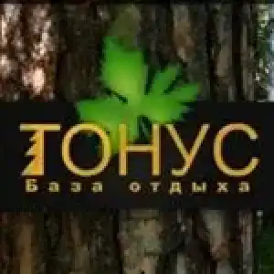 Тонус - 1