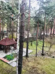 Еловый - 7